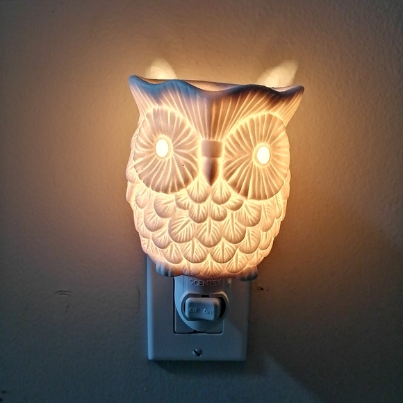 Sentsy owl - Picture 4 of 4